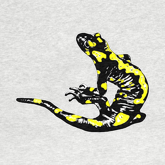 Fire salamander by obite